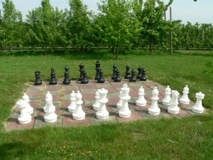 outdoor lawn chessboard in The Netherlands countryside