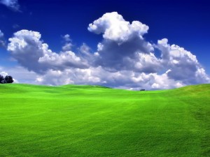 idyllic grass and sky