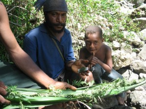 Cannabis in New Guinea with tribesmen
