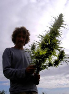 Paul von Hartmann and a giant cannabis bud against the sky