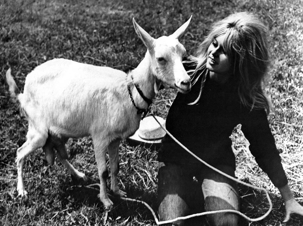 brigitte bardot sexpot with pet goat