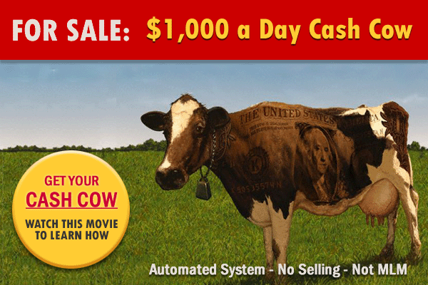 1,000 dollar a day cash cow