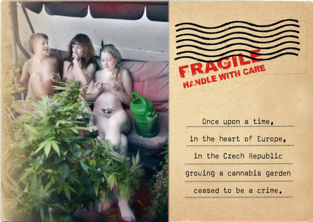 3 beautiful czech women on a faded couch with a huge cannabis plant